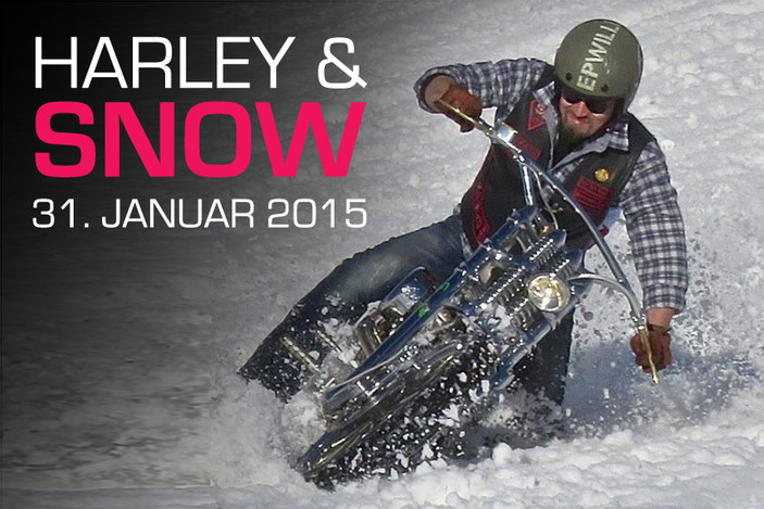 Ein bisschen verrückt ist das Ganze ja schon. Aber definitiv herrlich zuzusehen. Und genau das richtige für euch!